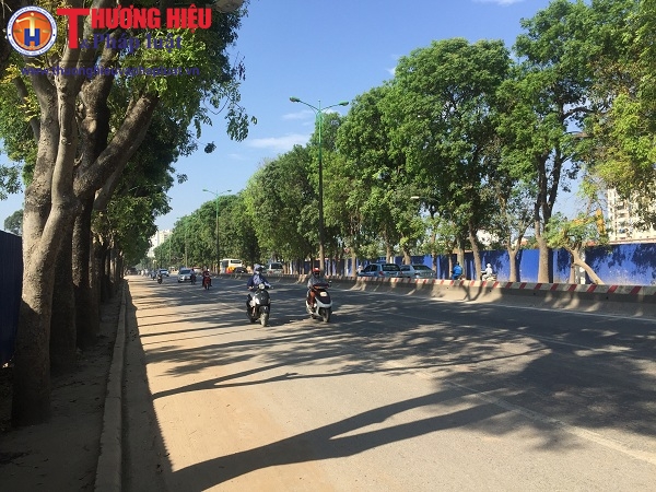 Hà Nội: Người dân nói gì trước thông tin chặt hạ hai hàng cây xanh trên đường Phạm Văn Đồng?