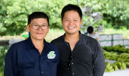 Thạc sĩ Tài chính Mỹ về Việt Nam trồng chuối