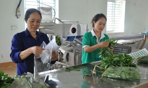 Truyền thông tốt tạo nên hiệu quả cao trong cung ứng thực phẩm an toàn cho người tiêu dùng. Ảnh: Báo Dân Việt