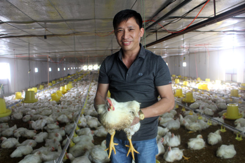 Thu lãi tiền tỷ nhờ nuôi gà theo công nghệ khép kín