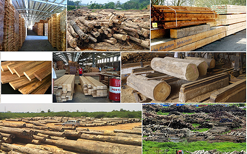 ngành gỗ Việt 
