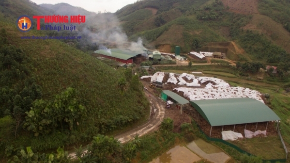 Toàn cảnh diện tích nhà máy sản xuất chế biến Tinh dầu Quế tại Xã Ngòi A, TT Mậu A, Huyện Văn Yên, tỉnh Yên Bái (2)