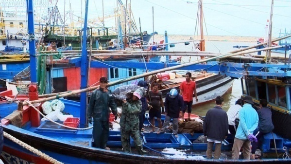 cá ngừ đại dương, ngư dân Phú Yên