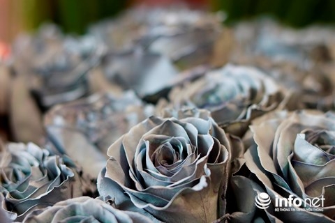 Ngắm bó hoa hồng màu bạc giá 65 triệu đồng đại gia mua tặng vợ dịp Valentine