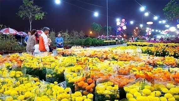 Chợ hoa Xuân Bình Điền 2018