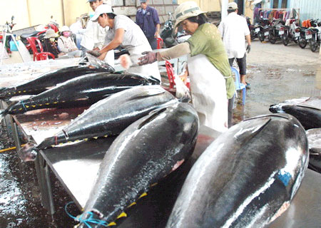 xuất khẩu cá ngừ