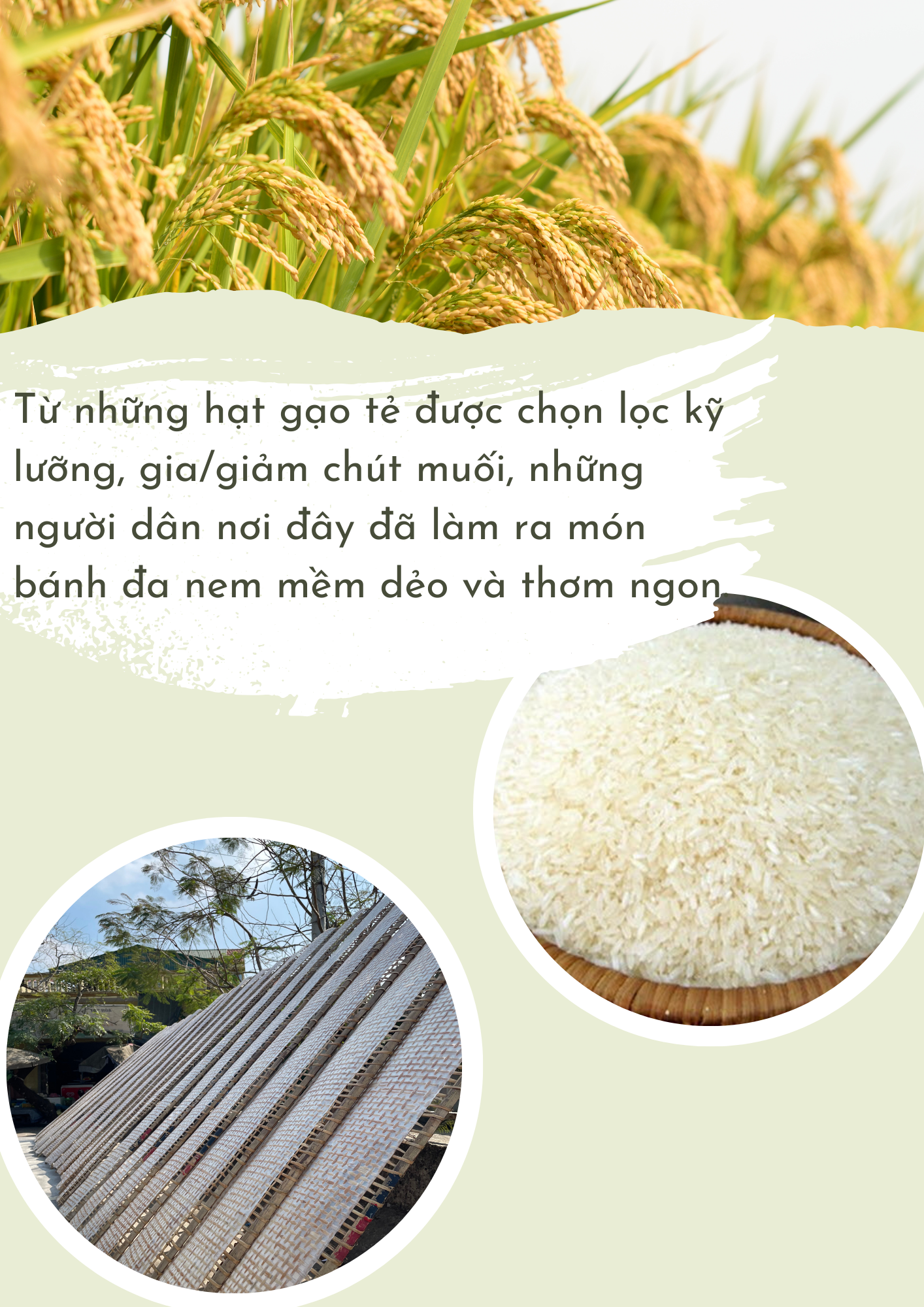 Thức ăn bình dị