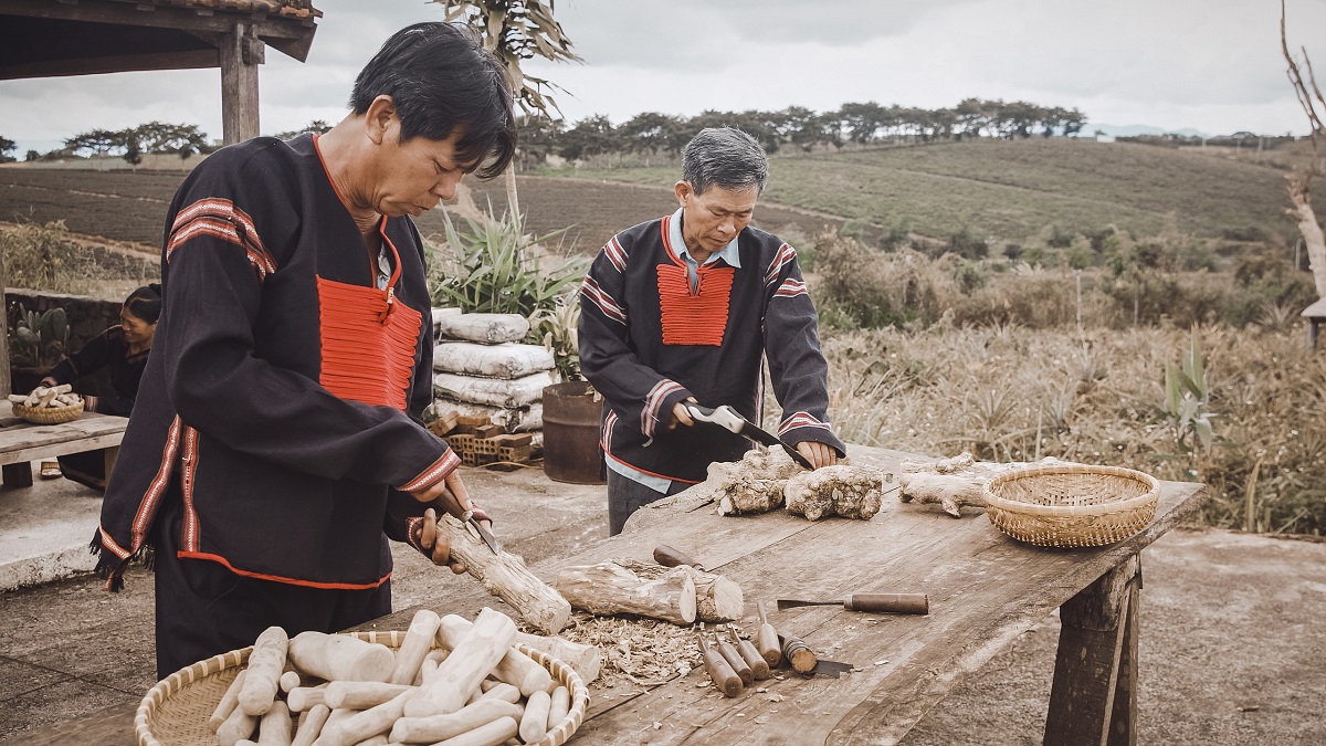 Việc tối ưu hóa được nguồn nguyên liệu gỗ, cũng như tạo công ăn việc làm ổn định cho người dân địa phương.