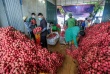 Việt Nam sẵn sàng tạo điều kiện cho thương nhân Trung Quốc đến mua vải thiều