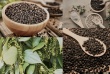 Xuất khẩu tăng tốc, doanh nghiệp hồ tiêu chủ động 'lá chắn' phòng ngừa rủi ro