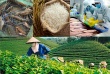 Chiến lược thúc đẩy xuất khẩu nông lâm thủy sản vượt ngưỡng 74 tỷ USD