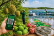 Đơn giản hóa mã số vùng trồng, đưa nông sản Việt vươn tầm quốc tế