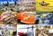 Gỡ 'nút thắt' vốn và ngoại ngữ cho doanh nghiệp xuất khẩu bứt phá