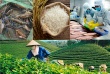 Biến danh tiếng vùng đất thành sức cạnh tranh cho hàng nông sản