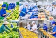 Doanh nghiệp Việt cần chuyển mạnh từ tư duy bán hàng sang phát triển thị trường