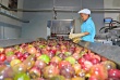 EU siết chặt quy định môi trường, doanh nghiệp Việt cần chủ động thích ứng