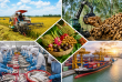 Xuất khẩu nông, lâm, thủy sản đạt gần 63 tỷ USD trong 10 tháng