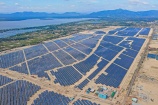 Chủ đầu tư Nhà máy điện mặt trời Phù Mỹ, Bình Định cam kết khắc phục hậu quả