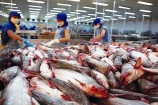 Thêm 6 nhà máy chế biến cá tra tại Việt Nam được xuất khẩu sang Mỹ