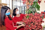 Xây dựng thương hiệu và chỉ dẫn địa lý cho nông sản Việt Nam