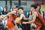 Vòng chung kết giải bóng rổ Balleil Tournament 2022 sắp diễn ra tại Hà Nội