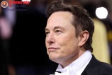 Tỉ phú Musk nghiên cứu, phát triển giải pháp thay thế cho ChatGPT của OpenAI
