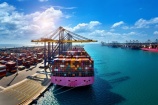 Xuất khẩu hàng hoá sang Thái Lan, Singapore tăng trưởng khá