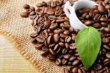 Xuất khẩu cà phê sang thị trường Hà Lan tăng trưởng mạnh