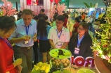 Khai mạc “Diễn đàn và Hội chợ hàng Việt Nam xuất khẩu” năm 2023 