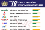 Top 10 Công ty đại chúng uy tín và hiệu quả năm 2023