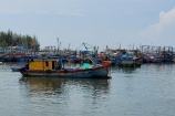 EC lùi lịch kiểm tra chống khai thác thủy sản bất hợp pháp tại Việt Nam