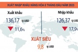 Việt Nam xuất siêu 9,8 tỷ USD trong 5 tháng đầu năm 2023