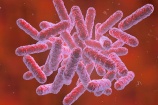 Thanh Hóa: Phát hiện bệnh nhân mắc bệnh “vi khuẩn ăn thịt người”