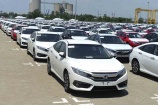Việt Nam nhập khẩu trên 32.300 ô tô nguyên chiếc các loại trong quý I/2024