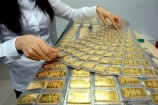 NHNN tiếp tục đấu giá thành công 12.300 lượng vàng miếng