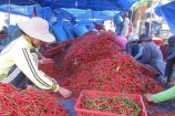 Trung Quốc là thị trường xuất khẩu ớt chính của Việt Nam