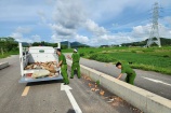 Công an huyện Yên Định: Ngăn chặn hành vi ném đá vào ô tô trên đường cao tốc