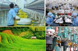 ADB giữ nguyên dự báo tăng trưởng kinh tế Việt Nam năm 2024 là 6%
