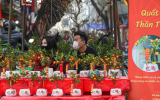 Chợ hoa phố cổ Hà Nội vẫn trầm lắng khi Tết Nguyên đán cận kề