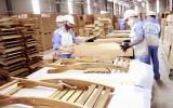 Xuất khẩu gỗ khởi sắc, hướng đến mục tiêu 16 tỷ USD