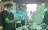 Hải Phòng: Ngăn chặn kịp thời 7,5 tấn lòng lợn nhiễm dịch tả châu Phi