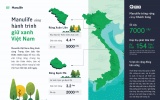 Manulife Việt Nam cùng khách hàng trồng rừng, hướng tới một tương lai bền vững 
