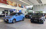 Thị trường ô tô Việt Nam khởi sắc trong 7 tháng đầu năm 2022