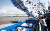 Giá gạo xuất khẩu của Việt Nam vẫn ở mức cao nhất thế giới