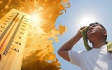 Sốc nhiệt do nắng nóng: Dấu hiệu nhận biết và cách xử trí