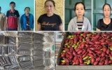Thanh Hóa: Triệt phá đường dây mua bán vật liệu nổ liên tỉnh