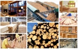 Kim ngạch xuất khẩu gỗ và sản phẩm gỗ ước đạt hơn 6 tỷ USD