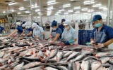 Dự báo giá xuất khẩu cá tra Việt Nam sẽ tăng 10% trong quý 3/2024