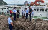 Lực lượng chức năng Quảng Ninh phát hiện 63 tấn hàu giống không rõ xuất xứ 
