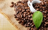 CHLB Đức là thị trường xuất khẩu cà phê lớn nhất của Việt Nam